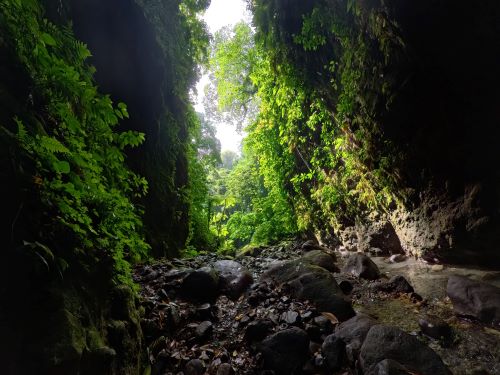 Martinique