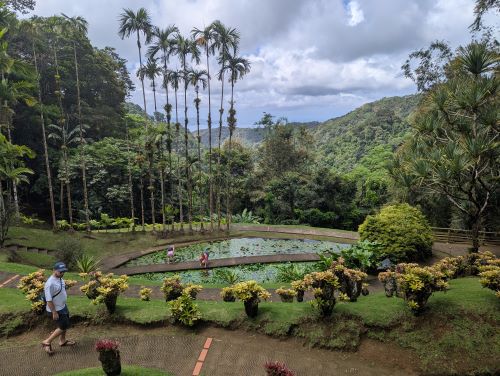 Martinique