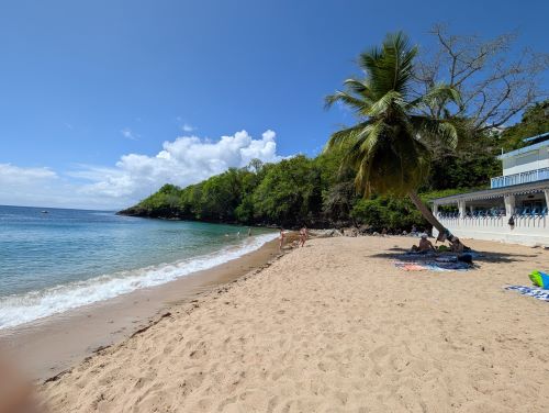 Anse Dufour - Martinique
