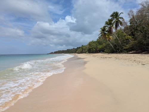 Martinique